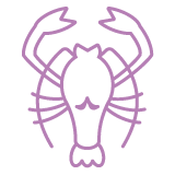 Cancer