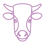 Taurus