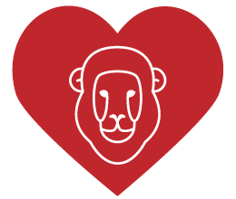 degré de compatibilité avec lion