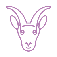 signes-astrologiques-vont-reconcilier-2021 : Capricorne