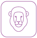 signo de Leão signo de Leão