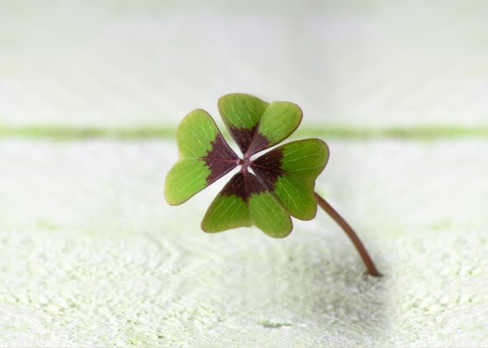 Simpatias para a Sorte