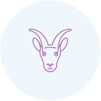 Capricorn