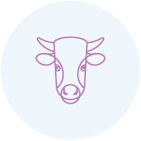 Taurus
