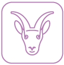 Capricorn Capricorn