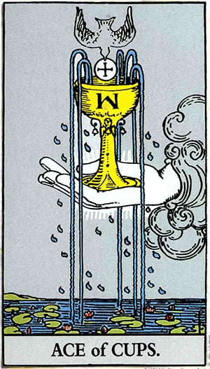 Ace of Cups Ace of Cups