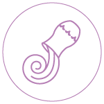 Aquarius