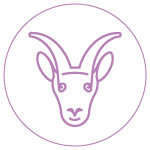 Capricorn