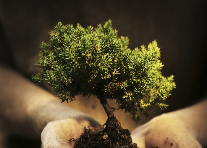 Signes de terre - astrologie