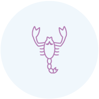Scorpion