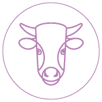 Taureau