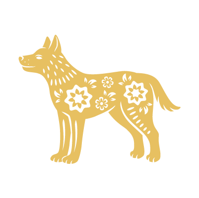 Cão
